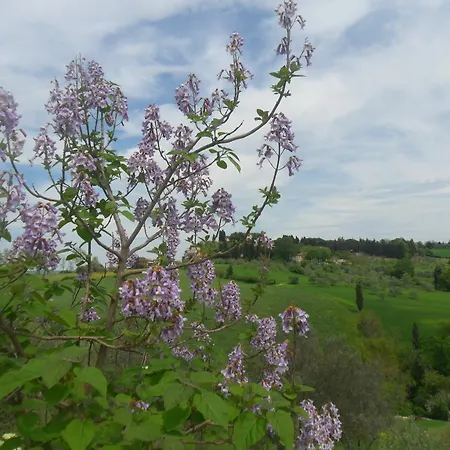 Fullino Nero 3* Tognazza